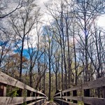 Winter Bridge